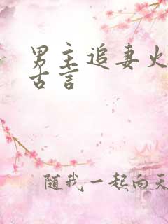 男主追妻火葬场古言