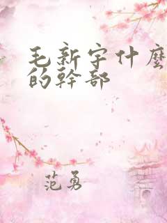 毛新宇什么级别的干部