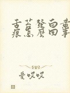 舌苔发白黄有齿痕怎么回事