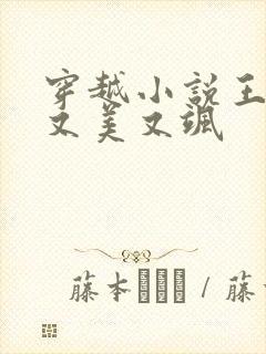 穿越小说王妃她又美又飒