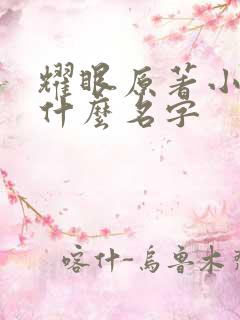 耀眼原著小说叫什么名字