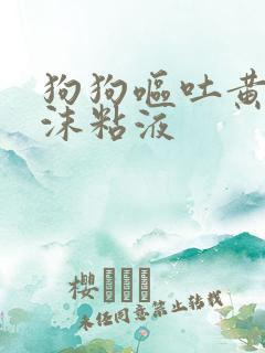 狗狗呕吐黄水泡沫粘液