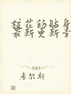 校花的贴身高手最新更新章节