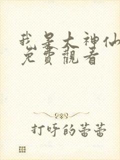 我是大神仙动漫免费观看