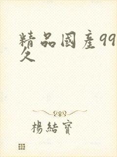 精品国产99久久