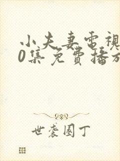 小夫妻电视剧40集免费播放