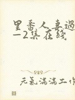 里番人妻过夜1—2集在线