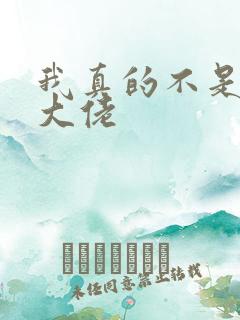 我真的不是修仙大佬