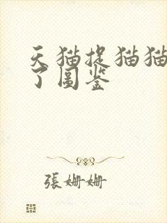 天猫捉猫猫集齐了图鉴