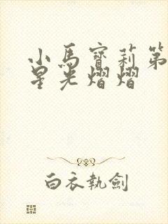 小马宝莉第九集星光熠熠