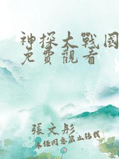 神探大战国语版免费观看