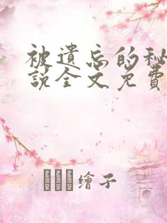 被遗忘的秘密小说全文免费阅读