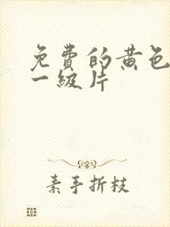 免费的黄色录像一级片