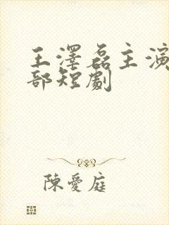 王泽磊主演的全部短剧