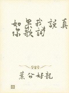 如果我说真的爱你歌词