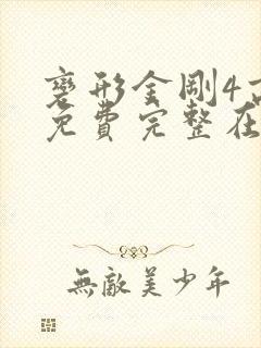 变形金刚4高清免费完整在线观看