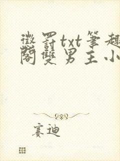 惩罚txt笔趣阁双男主小说