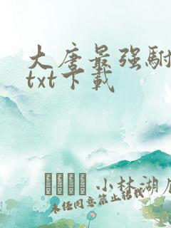 大唐最强驸马爷txt下载