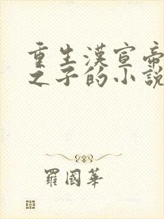 重生汉宣帝刘询之子的小说