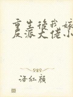 重生后我嫁给了反派大佬小说