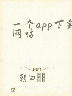 一个app下载网站