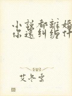 小说都离婚了,你还纠缠什么在线阅读