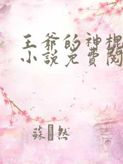 王爷的神棍王妃小说免费阅读