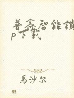 普鑫智能锁app下载