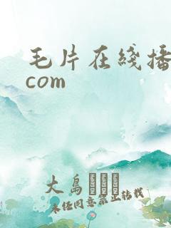 毛片在线播放.com