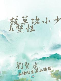 校草攻小少爷受h双性