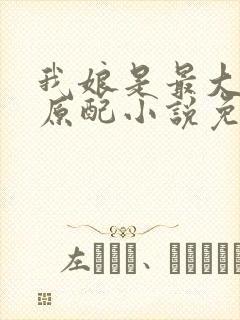 我娘是最大方的原配小说免费阅读
