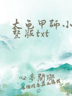 大龟甲师小说完整版txt