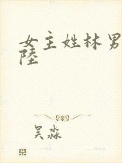 女主姓林男主姓陆