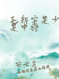 毛新宇是少将还是中将