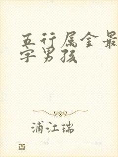 五行属金最旺的字男孩