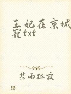 王妃在京城当团宠txt