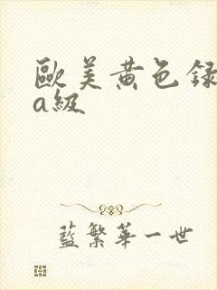 欧美黄色录像aa级