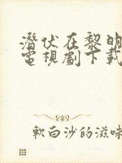 潜伏在黎明之前电视剧下载