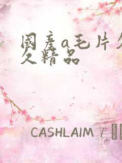 国产a毛片久久久精品