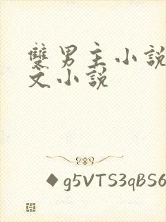 双男主小说高干文小说