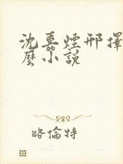 沈嘉烟邢择是什么小说