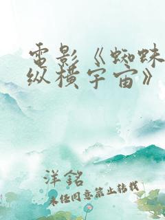 电影《蜘蛛侠:纵横宇宙》在线