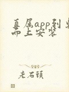 直属app到桌面上安装