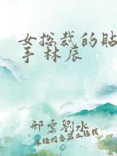 女总裁的贴身高手 林辰