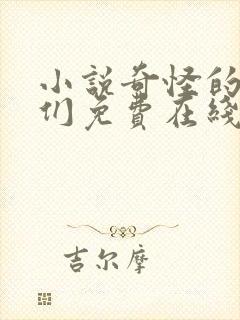 小说奇怪的先生们免费在线阅读