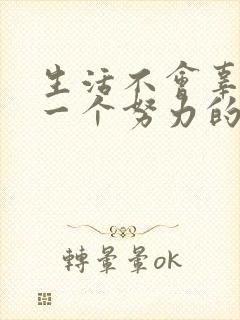 生活不会辜负每一个努力的人