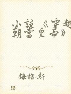 小说 《穿越明朝当皇帝》