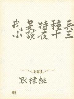 我是特种兵杨洛小说夜十三