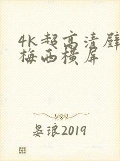 4k超高清壁纸梅西横屏