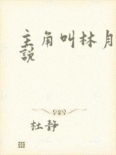 主角叫林月的小说